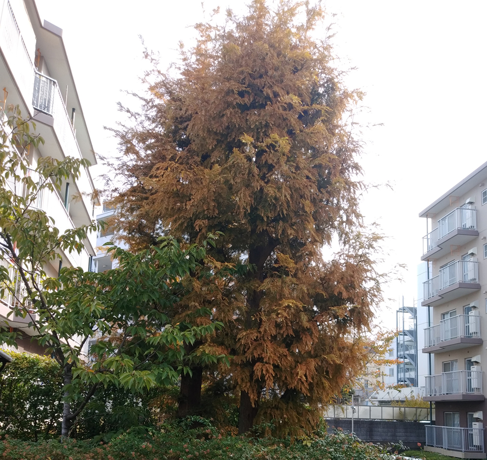 Before
